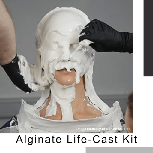 Lifecasting Kits and Alginate