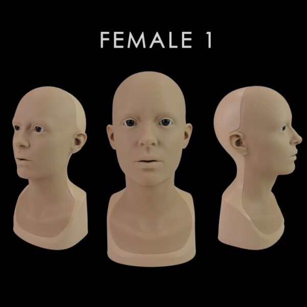 Anatomically Correct Heads - Image 5