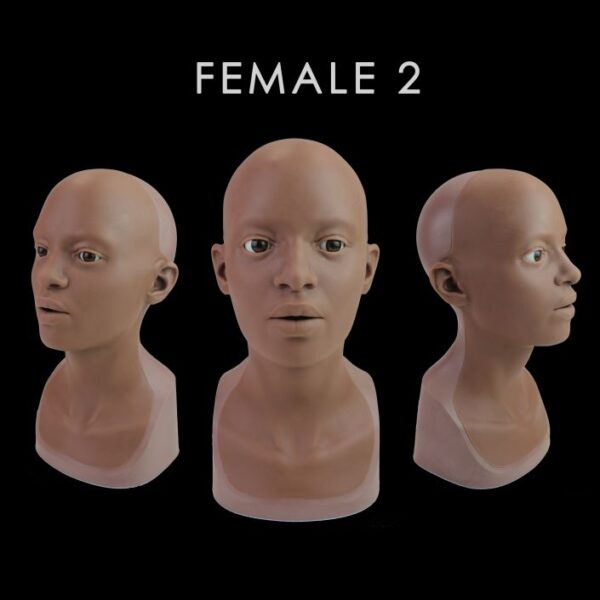 Anatomically Correct Heads - Image 6