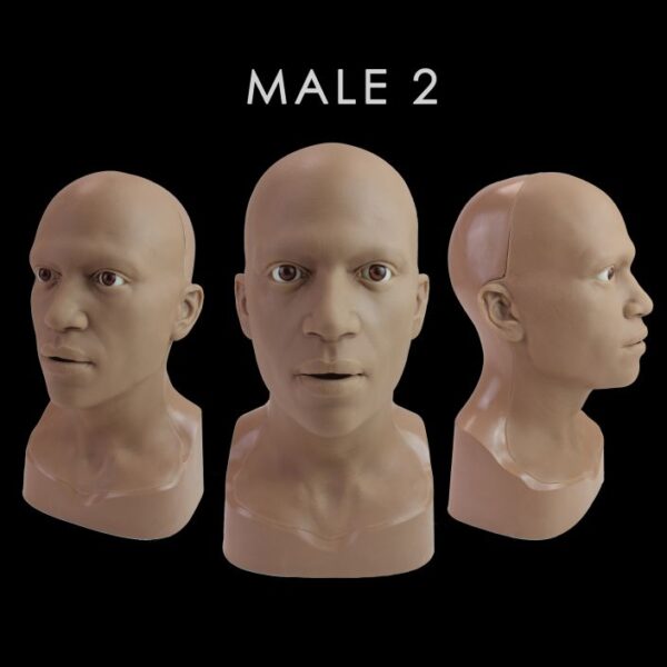 Anatomically Correct Heads - Image 8