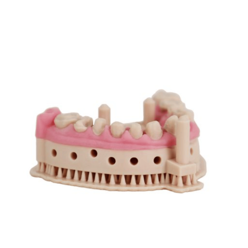 Liqcreate Dental Model Pro Beige Resin 1KG - Image 2